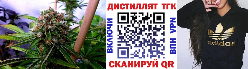цены   Кимовск  ТГК концентрат 