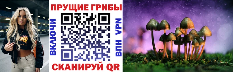 mega сайт  где продают наркотики  Кимовск  Галлюциногенные грибы Cubensis 